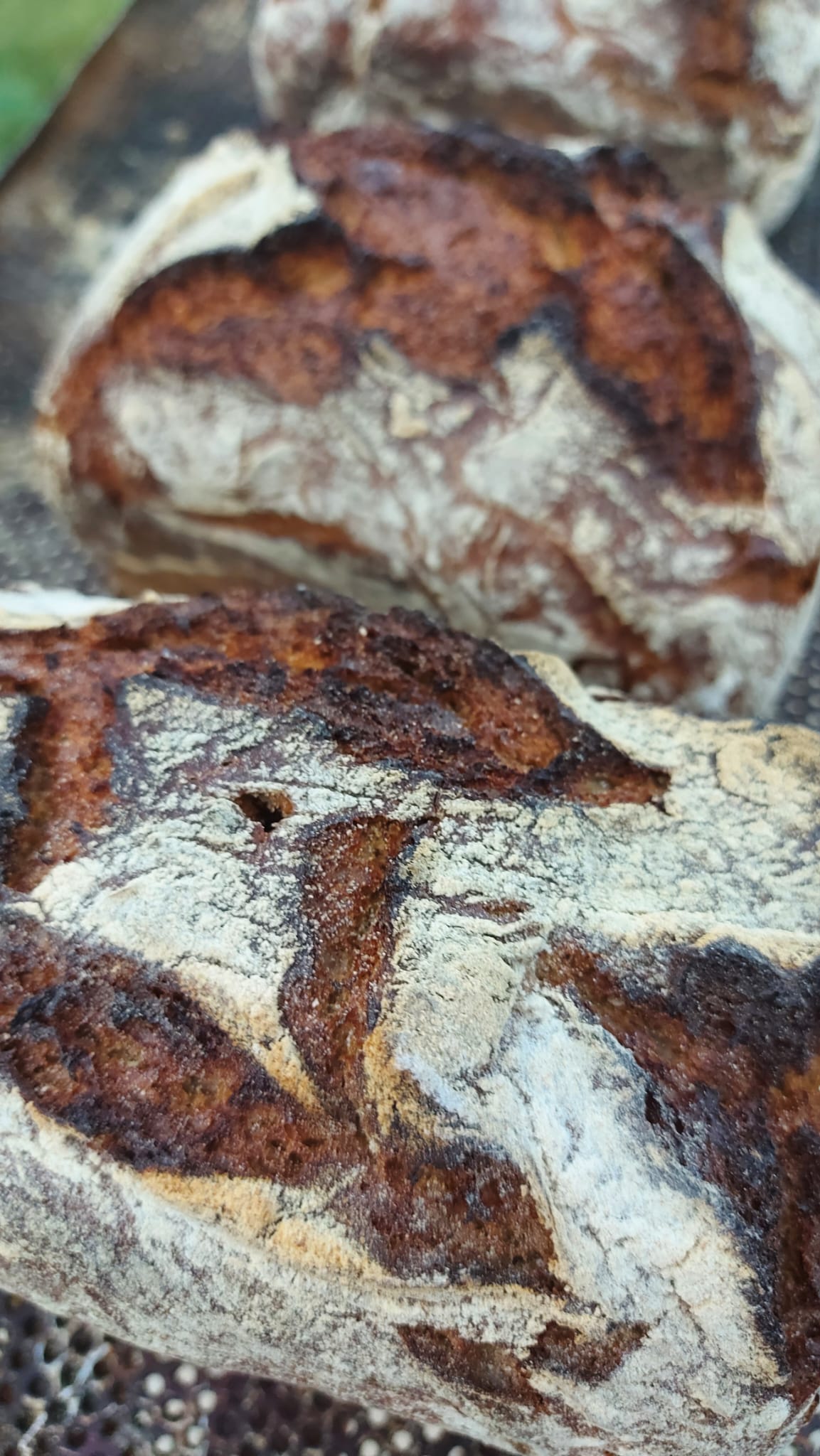 Fincabäckerei